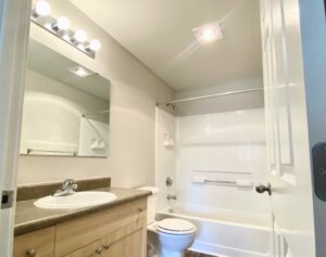 Unit Bathroom, Large vanity mirror, Wood floor, Storage under sink
